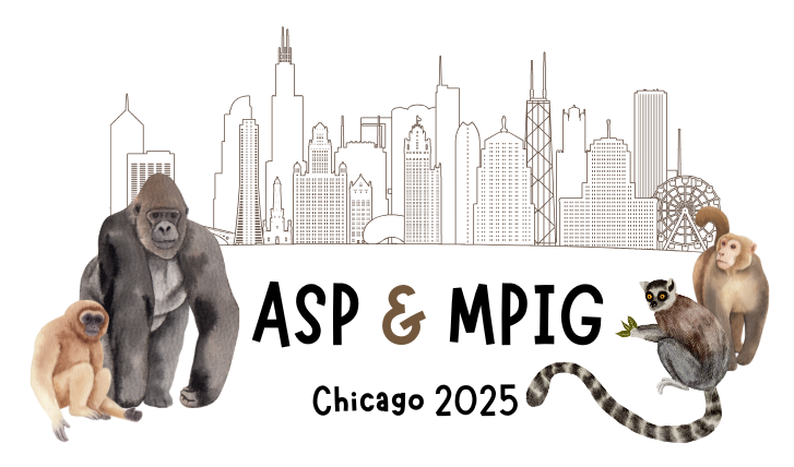 The ASP 2025 Logo. A line drawing of the Chicago skyline behind color illustrations of primates and text that reads ASP & MPIG Chicago 2025